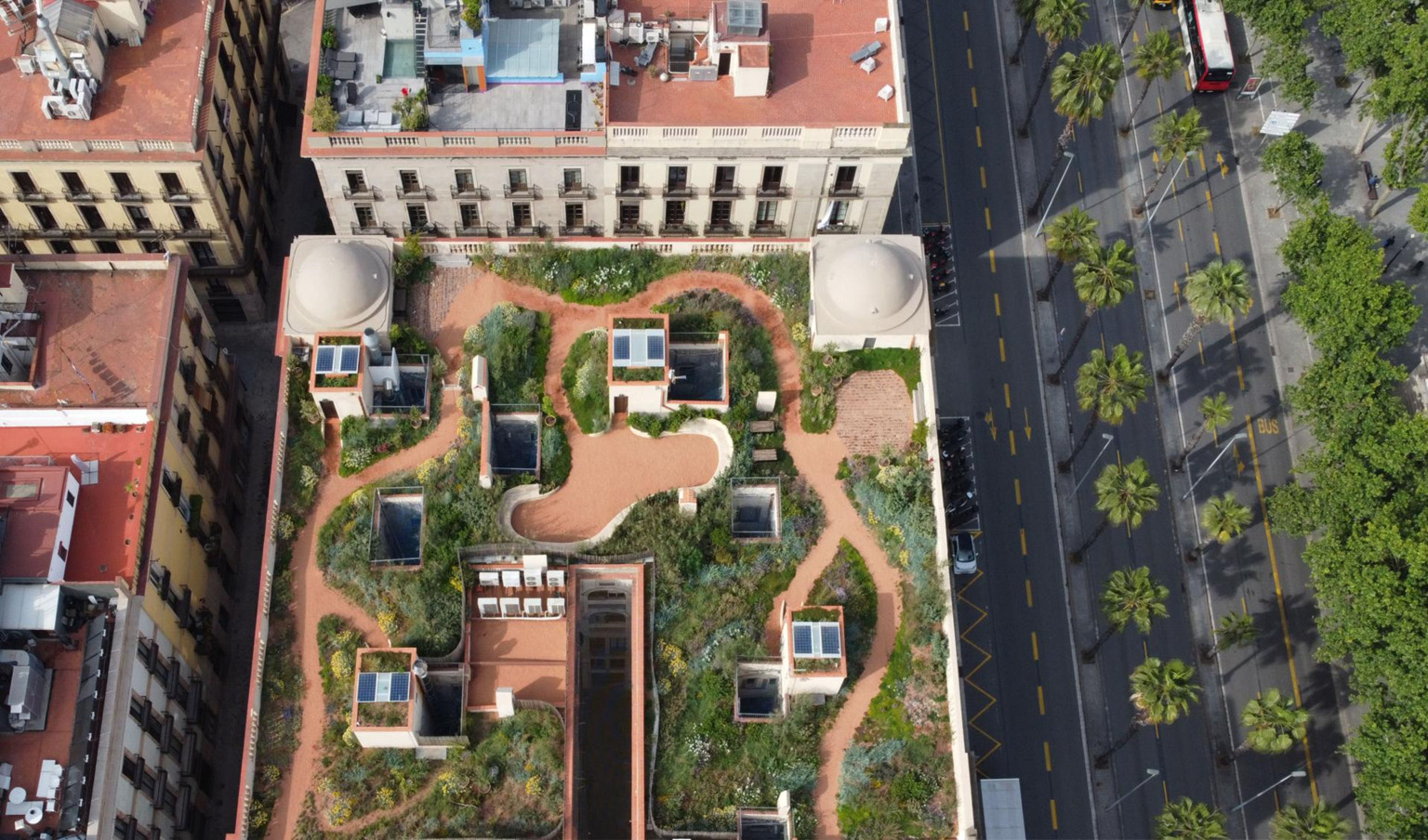 Barcelona Xifré’s Rooftop: A Wild Garden above the City