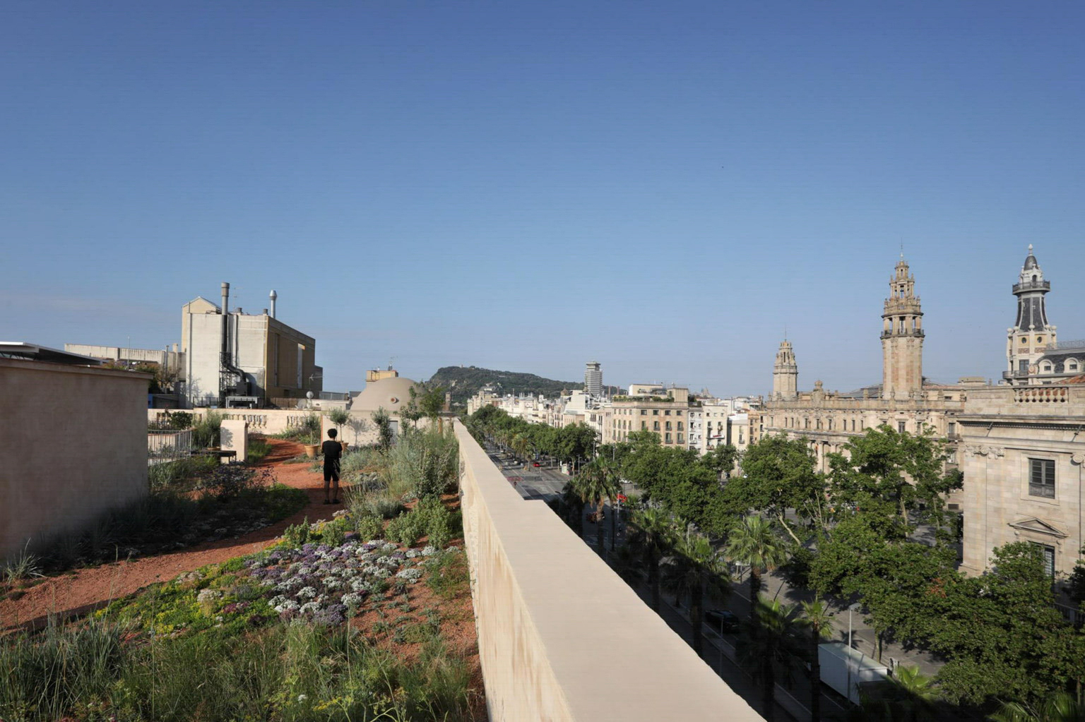 Barcelona Xifré’s Rooftop: A Wild Garden above the City